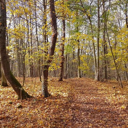 Gemuetliche Ferienwohnung Am Ortsrand Kreuzwertheim Esterno foto