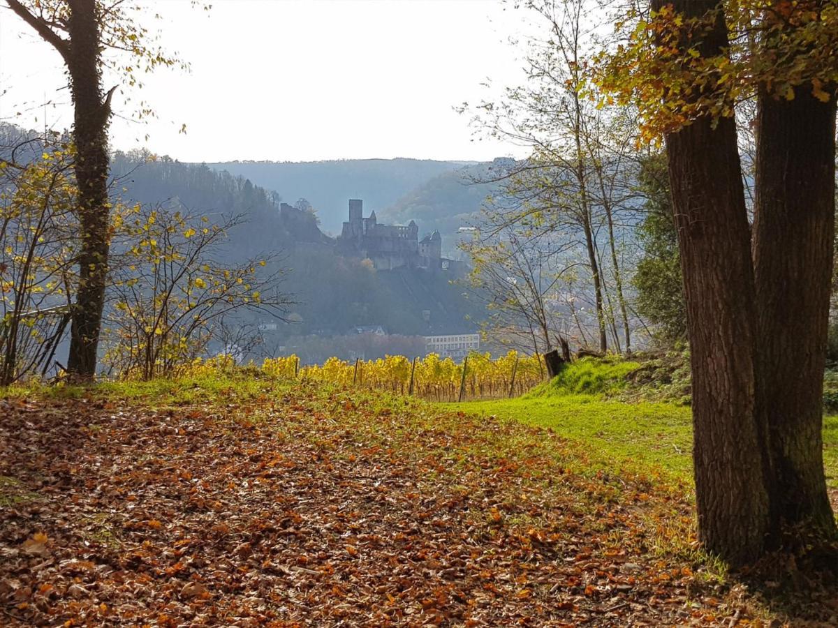 Gemuetliche Ferienwohnung Am Ortsrand Kreuzwertheim Esterno foto