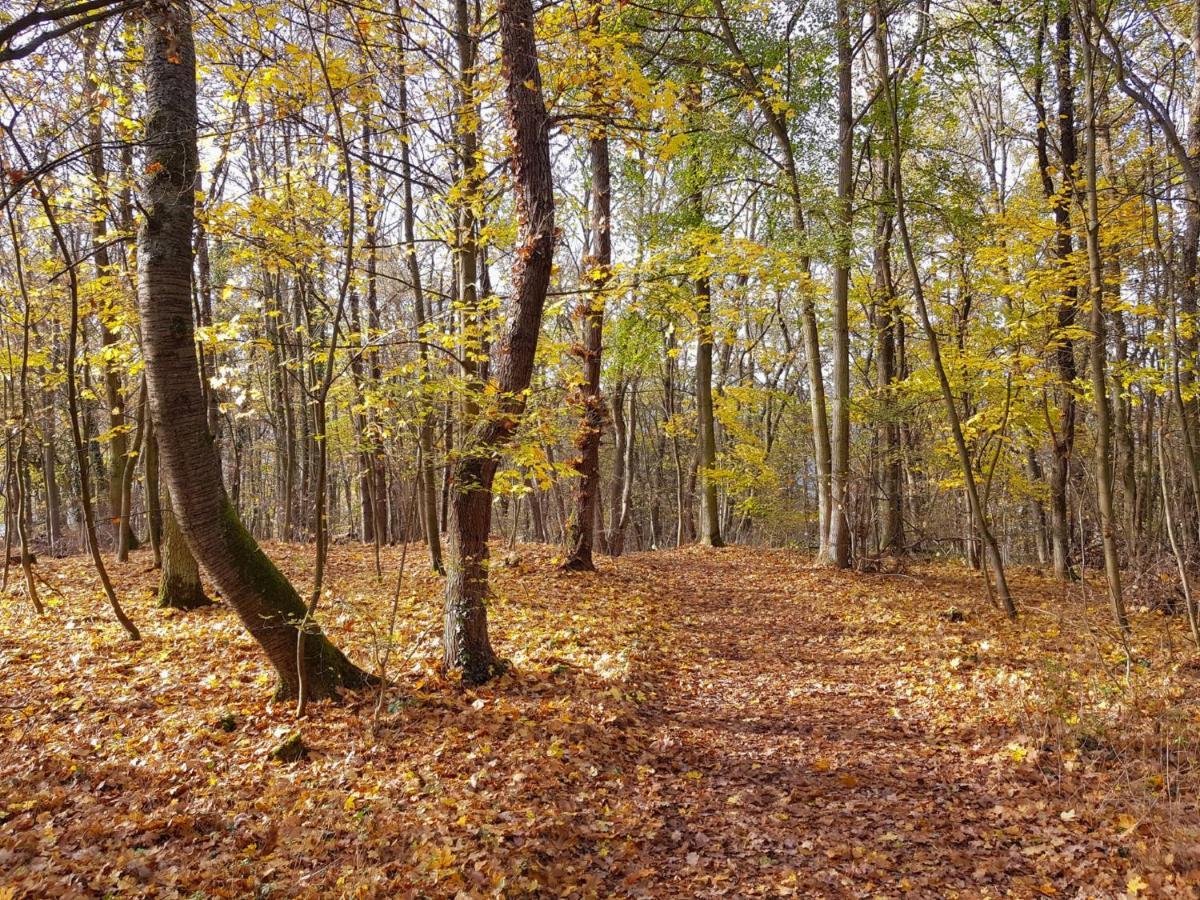 Gemuetliche Ferienwohnung Am Ortsrand Kreuzwertheim Esterno foto